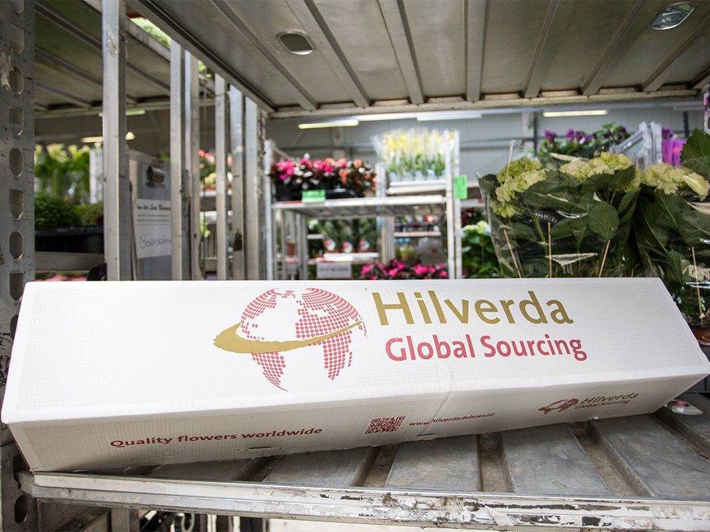 A Hilverda Global Sourcing, owned by Marco Groot, box