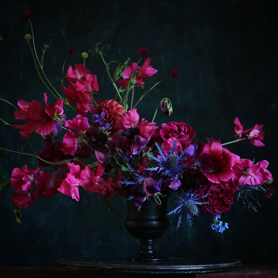 a magenta and blue floral arrangement by Christin Geall