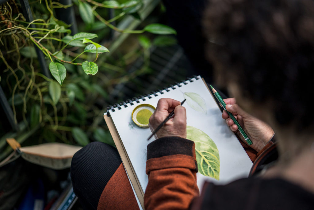 An artist draws leaves at a NYBG summer intensive