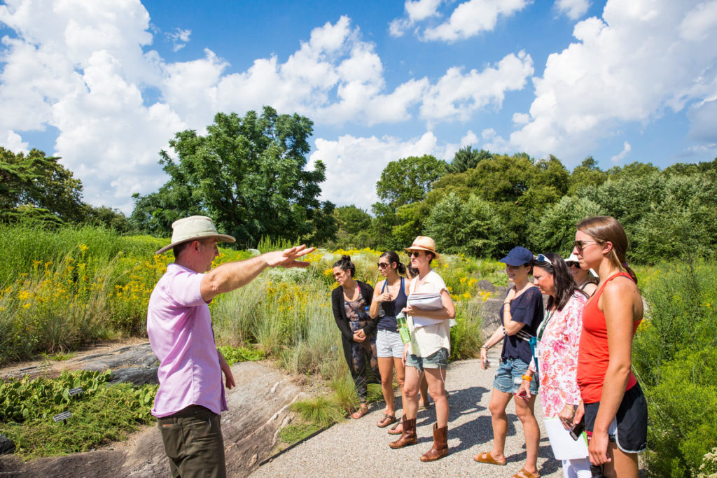A group of attendees follows a tour guide outside at a NYBG summer intensive