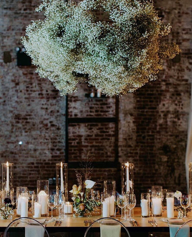 Gypsophila Baby S Breath Design Botanical Brouhaha