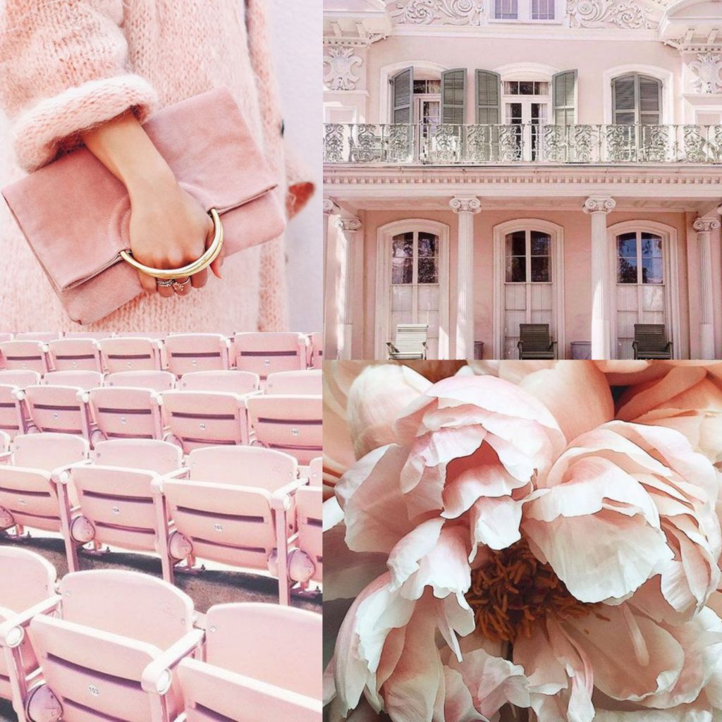A pale pink mood board via Michelle Hodges's Sprout website