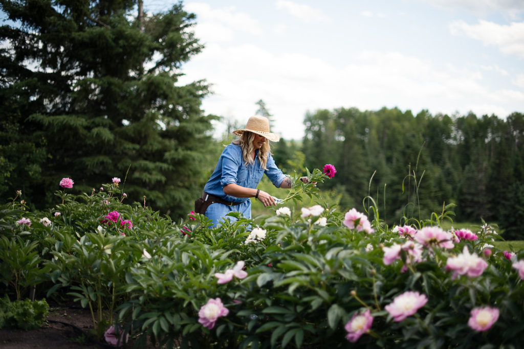 BB Podcast guest, Rachelle Willows, trims a pink flower in a large flower field