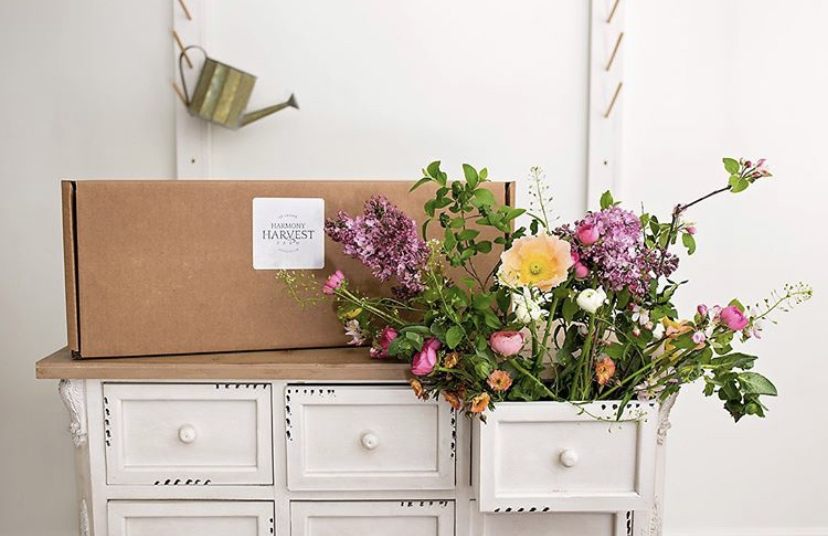 The Bouquet Box sitting on an antique, white dresser with wild flowers spilling out of an open drawer