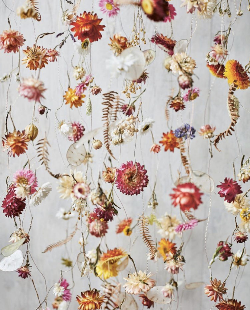 A hanging installation of everlasting flowers made by Botanical Tales