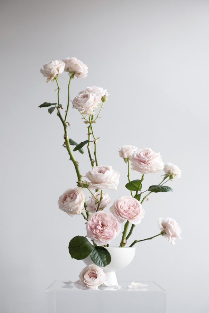 roses places in a pin frog secured inside a white ceramic container for a foam free sustainable floral design