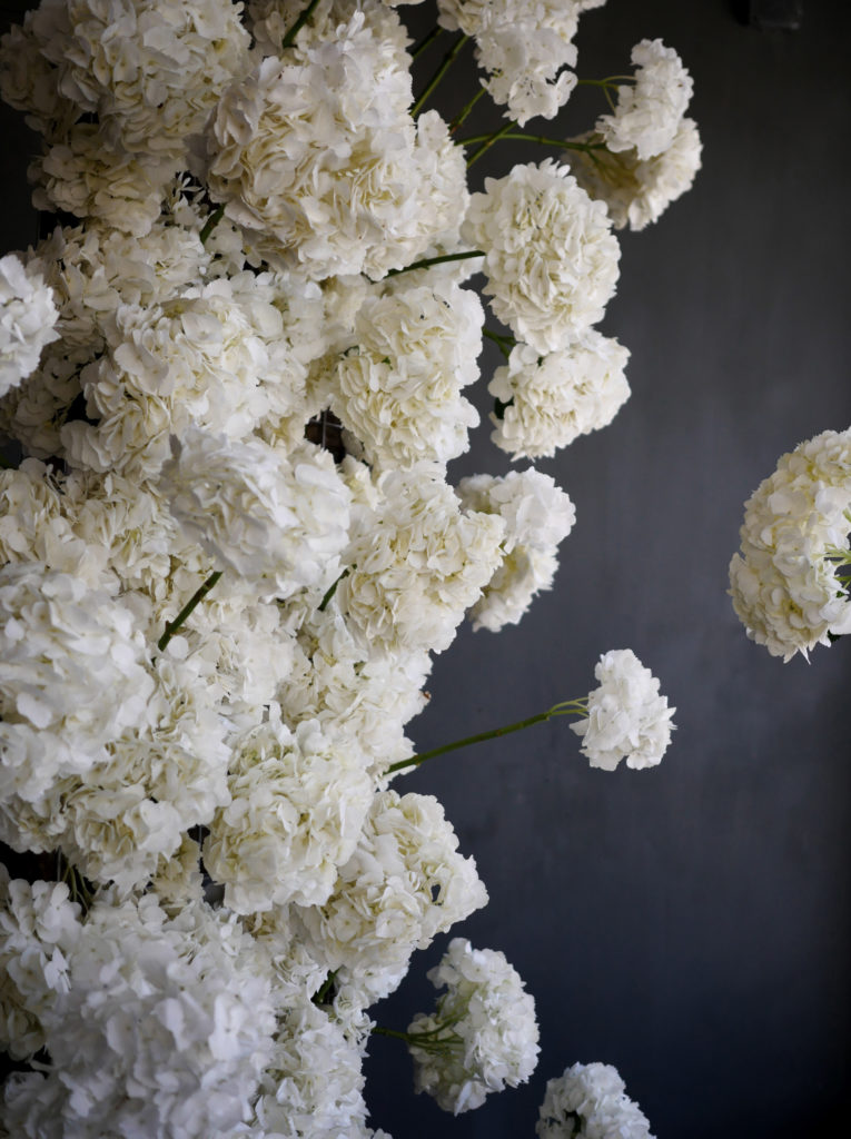 Close up of Valley Springs white hydrangeas used in a deconstructed arch