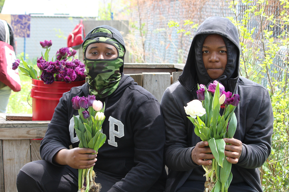 Two young men holding bunches of tulips grown at Southside Blooms