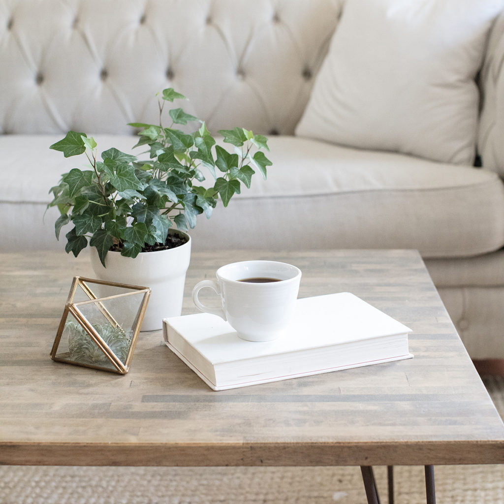 Plant and cup of coffee on a table in front of a beige couch set for a work break by a floral professional