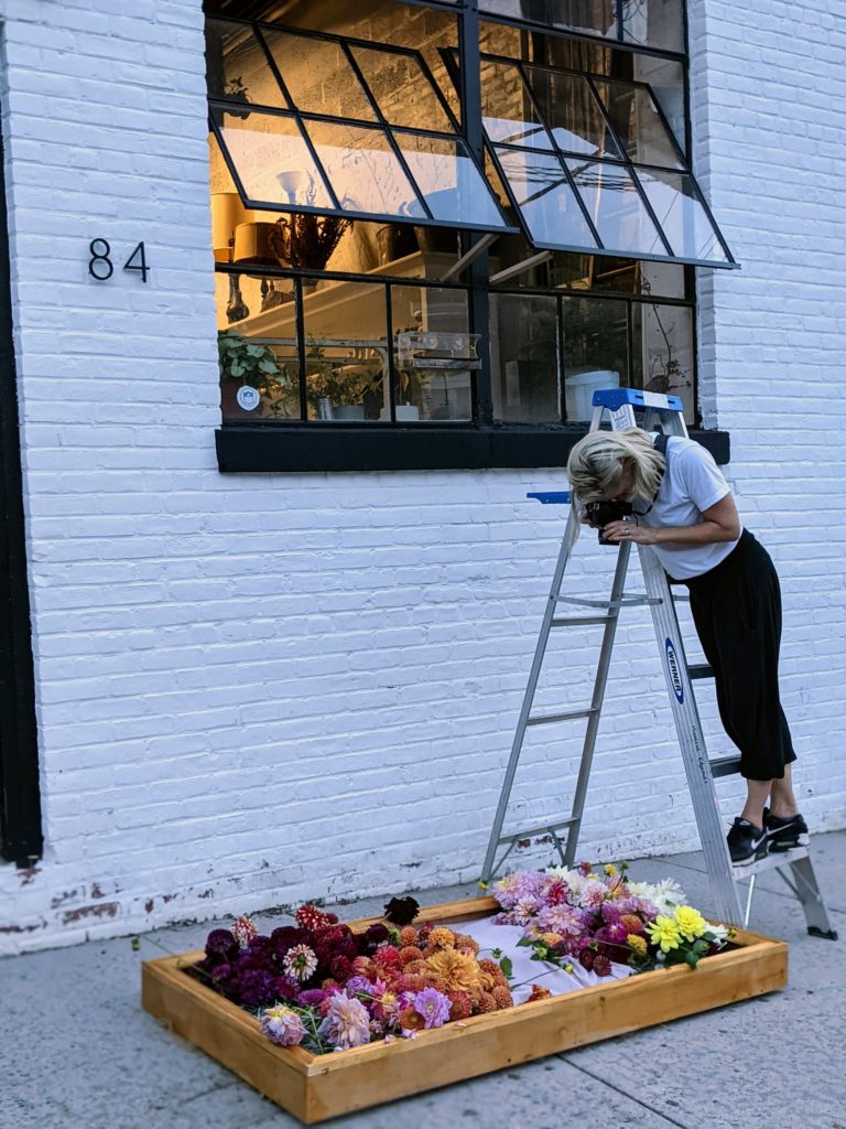 Florist Sylvia Lukach, owner of Cape Lily, photographs her flowers from a ladder outside the studio at dusk