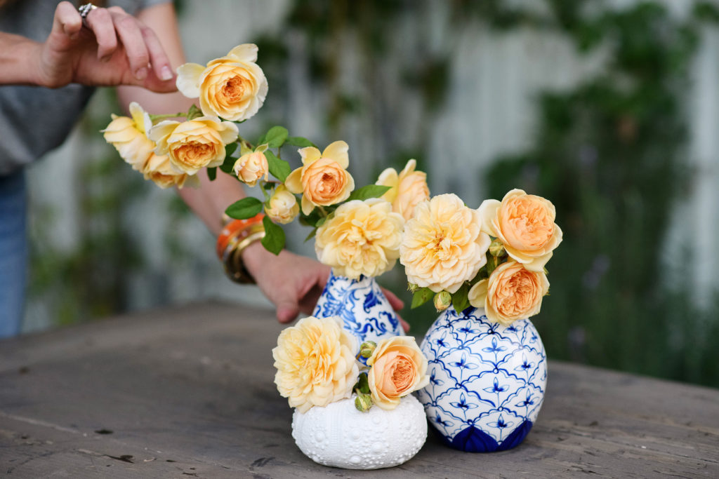 rose farm owner Felicia Alvarez arranging golden roses she grew in blue and white vases