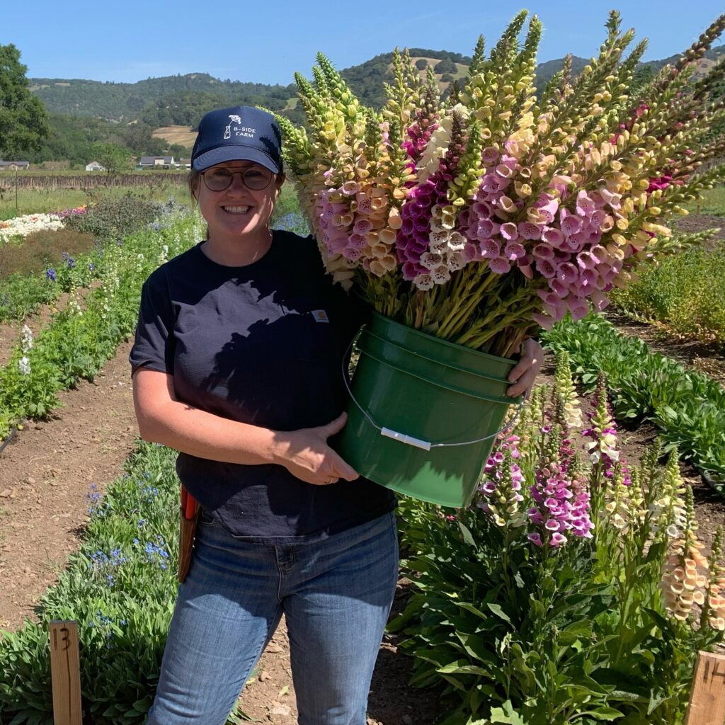 Lennie Larkin, author of Flower Farming for Profit, standing in a flower field holding a bucket of freshly cut foxgloves