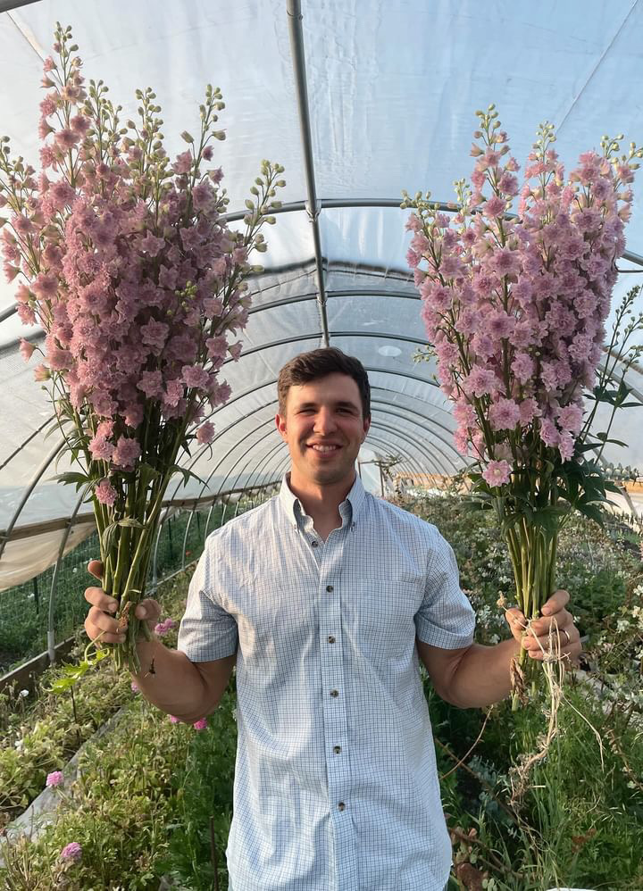 Flower farmer Grant Winkelmann, owner of Winkelmann Flowers, standing in his greenhouse holding bouquets of pink delphinium 